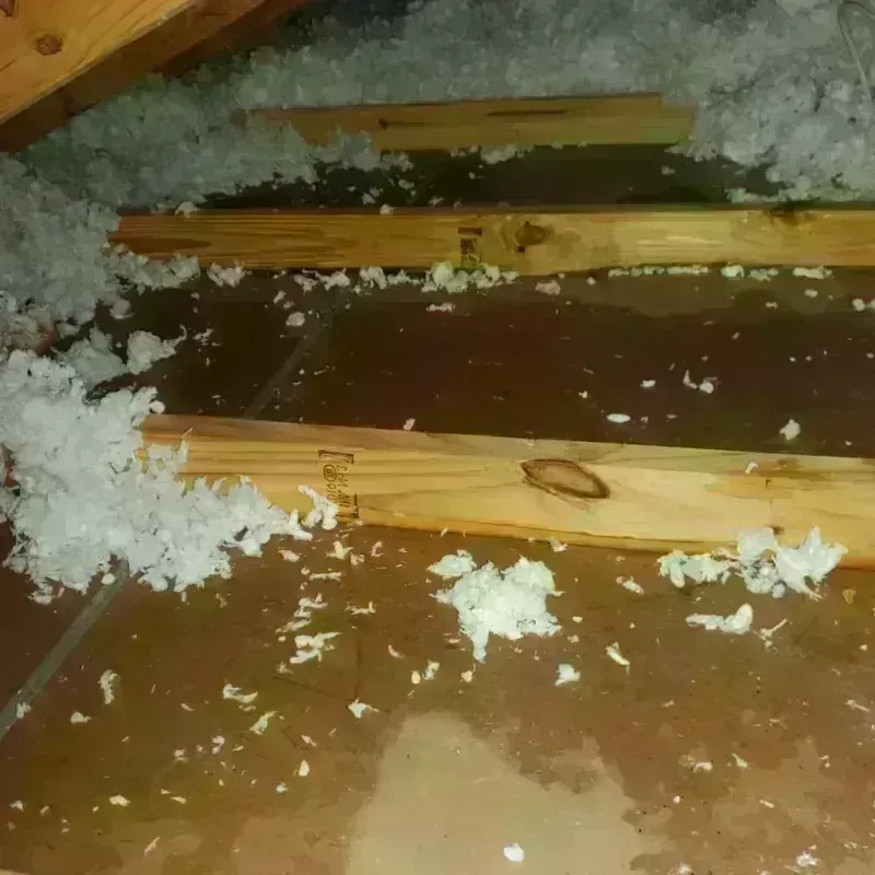 Attic Water Damage in Haskell County, KS