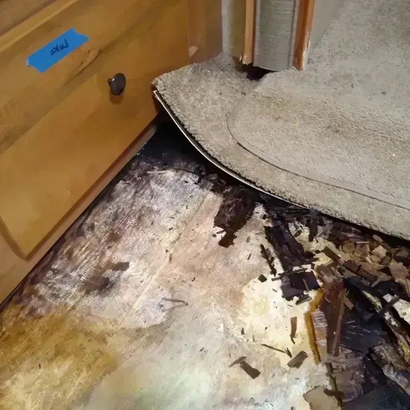 Wood Floor Water Damage in Haskell County, KS